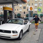 mustang